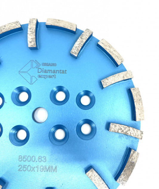 Disc cu segmenti diamantati pt. slefuire pardoseli - segment fin - Albastru - 250 mm - prindere 19mm - DXDY.8500.250.63