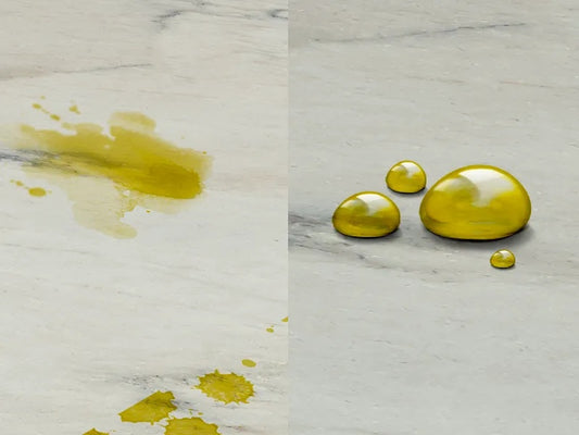 Tratament de protecție pt. rosturi împotriva petelor, hidrofob si oleofob, cu efect natural, Tenax Proseal Nano, 1litru